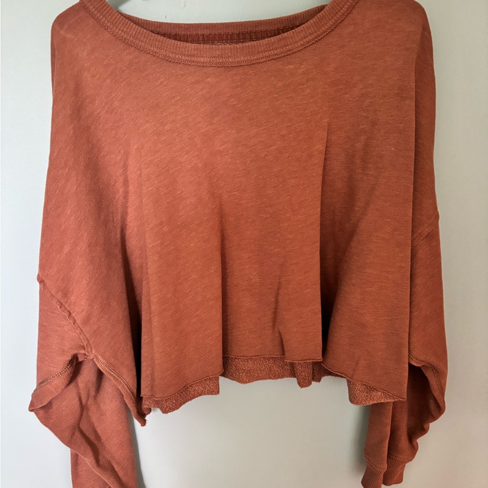 Rusty salmon American Eagle cropped sweatshirt